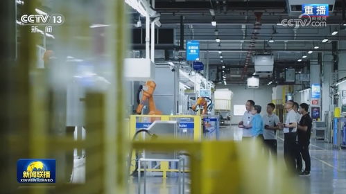 以生物科技研发为引擎，加速新质生产力发展，夯实高质量发展根基