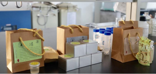 科技下乡 生物科技为乡村振兴插上智慧“翅膀”