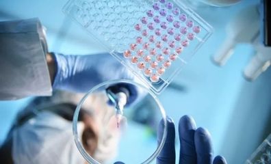 连接中日创投的桥梁 专访36Kr Japan CEO中岛嘉一谈生物科技研究开发