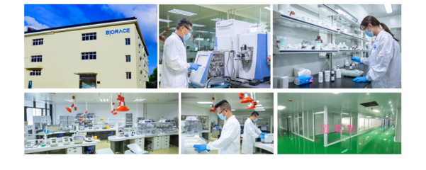 杭州百芮罗伊氏乳杆菌R-823 创新生物科技的研发与应用前景